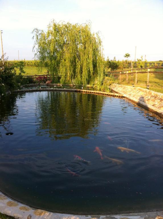 Azienda Agrituristica Bellavista Villa Montespertoli Eksteriør bilde