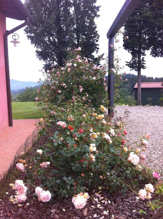 Azienda Agrituristica Bellavista Villa Montespertoli Eksteriør bilde