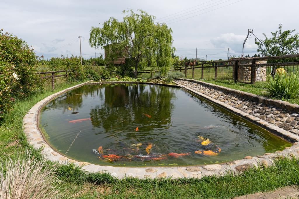 Azienda Agrituristica Bellavista Villa Montespertoli Eksteriør bilde
